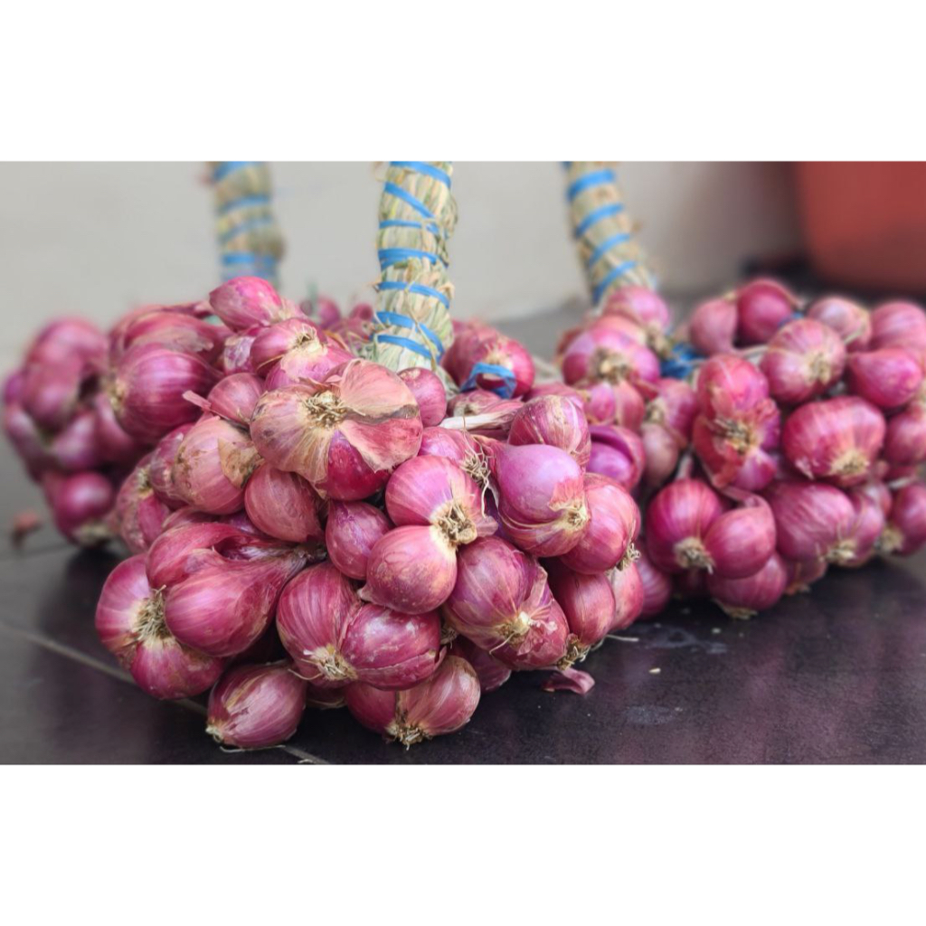 

Bawang Merah Super Probolinggo Hasil Panen Sendiri Murah