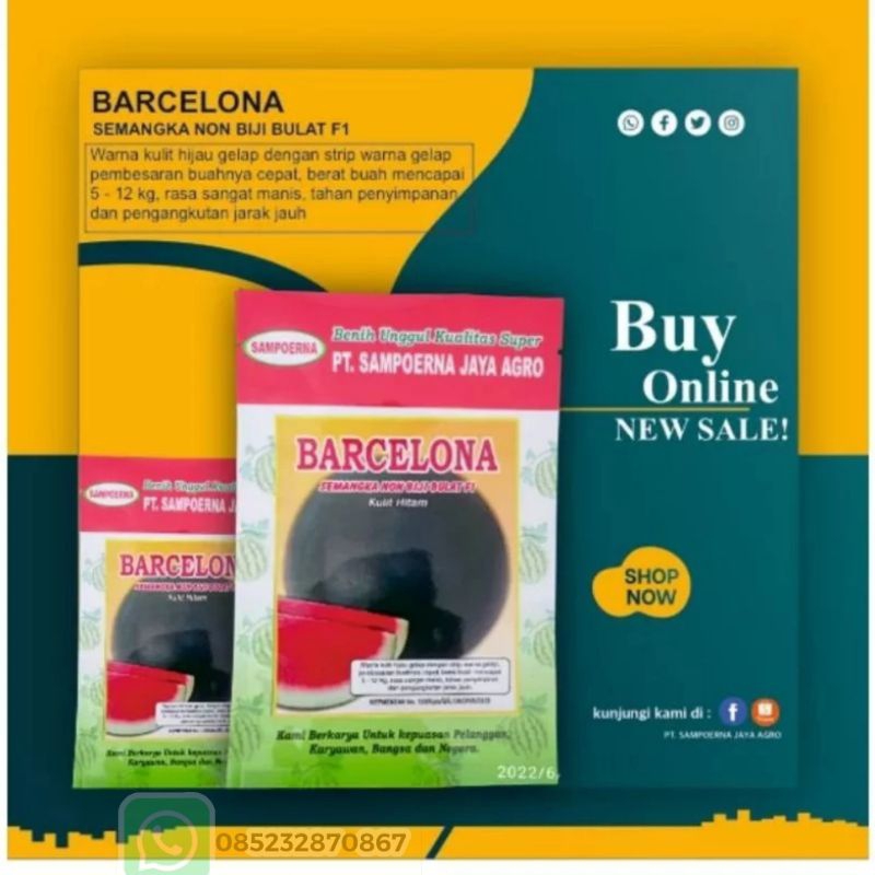 Benih Semangka Non Biji Barcelona Kulit Gelap