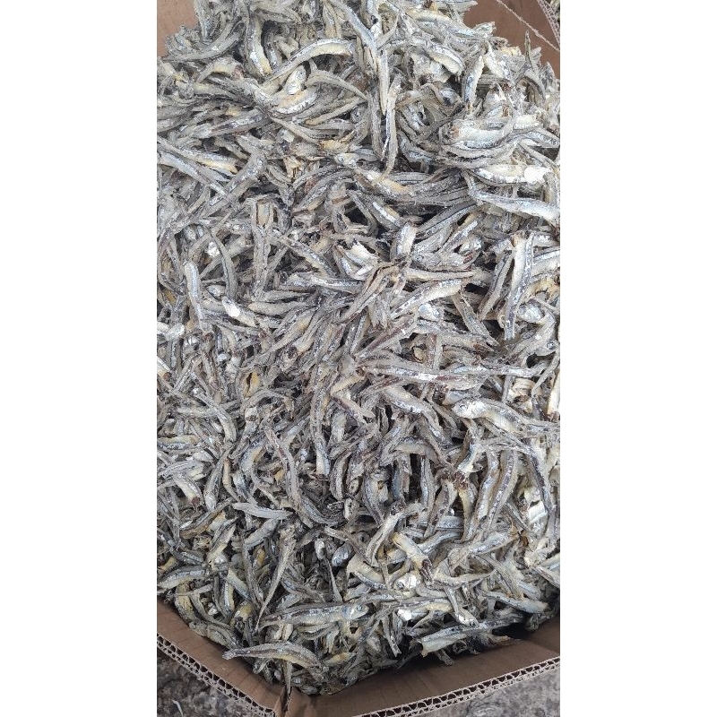 

ANEKA SEGALA JENIS IKAN ASIN PREMIUM HARGA MURAH