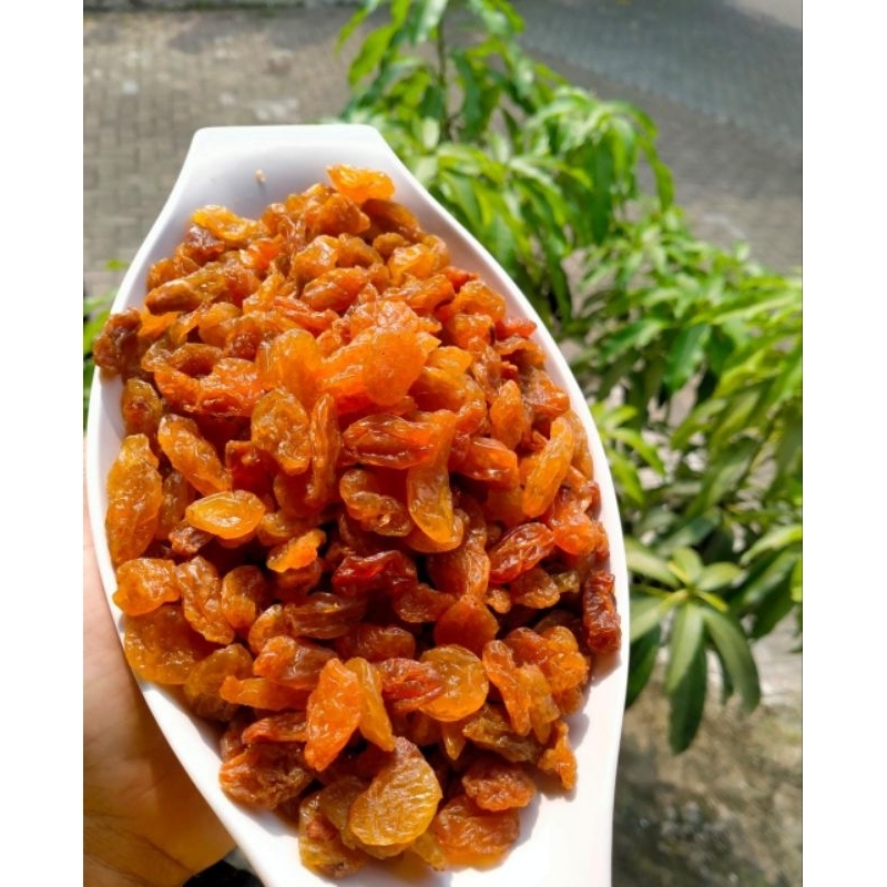 

Kismis Golden King Fresh 1 kg & 500 gram oleh oleh haji dan umroh