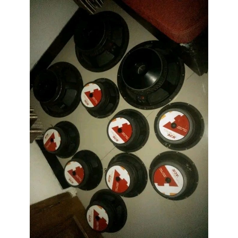 speaker acr 10in