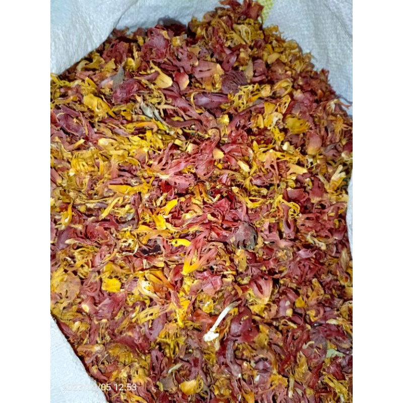 

bunga pala super sudah kering