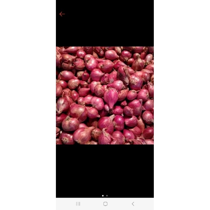 

BAWANG MERAH 1 KG BESAR