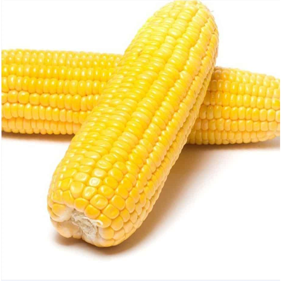 

KIRIM INSTAN Jagung Kupas isi 2pcs