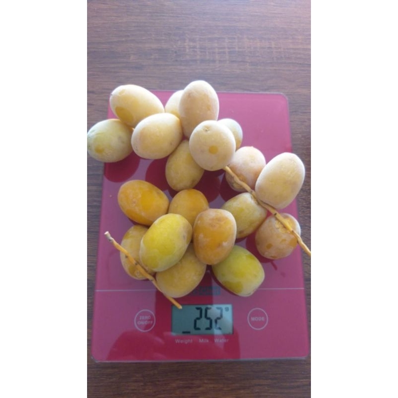 

Kurma Ruthob Barkhee 250gr