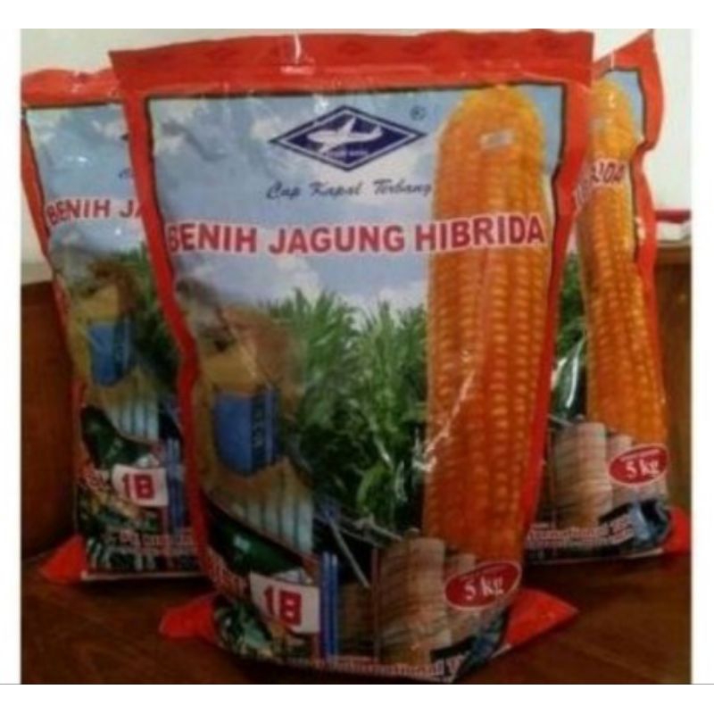 bibit jagung bisi 18 5kg