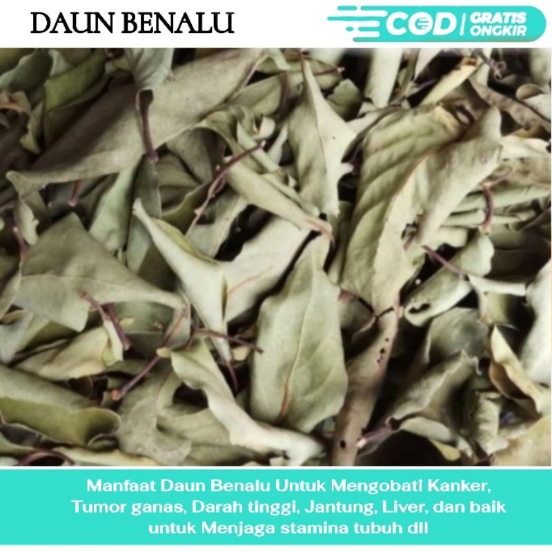 

Daun benalu kering 1kg