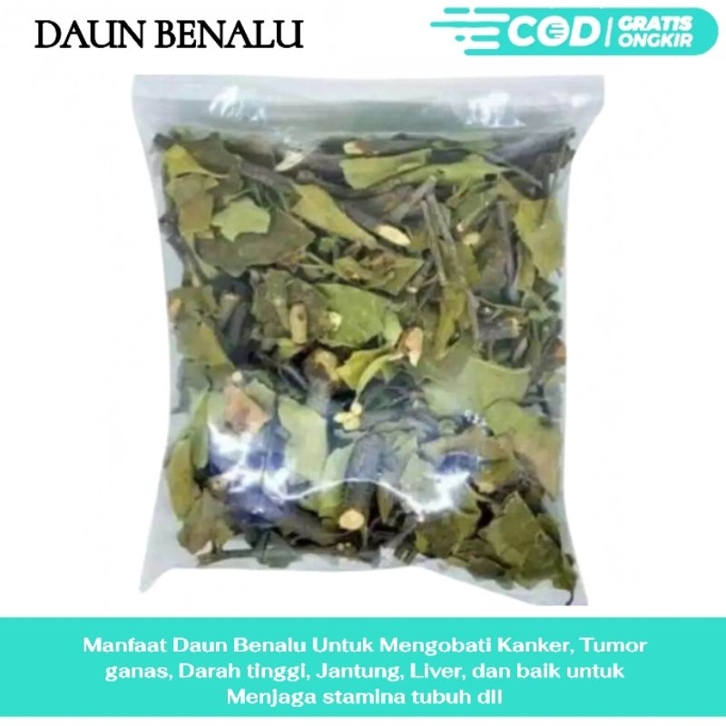 

RL Daun benalu kering 100gr