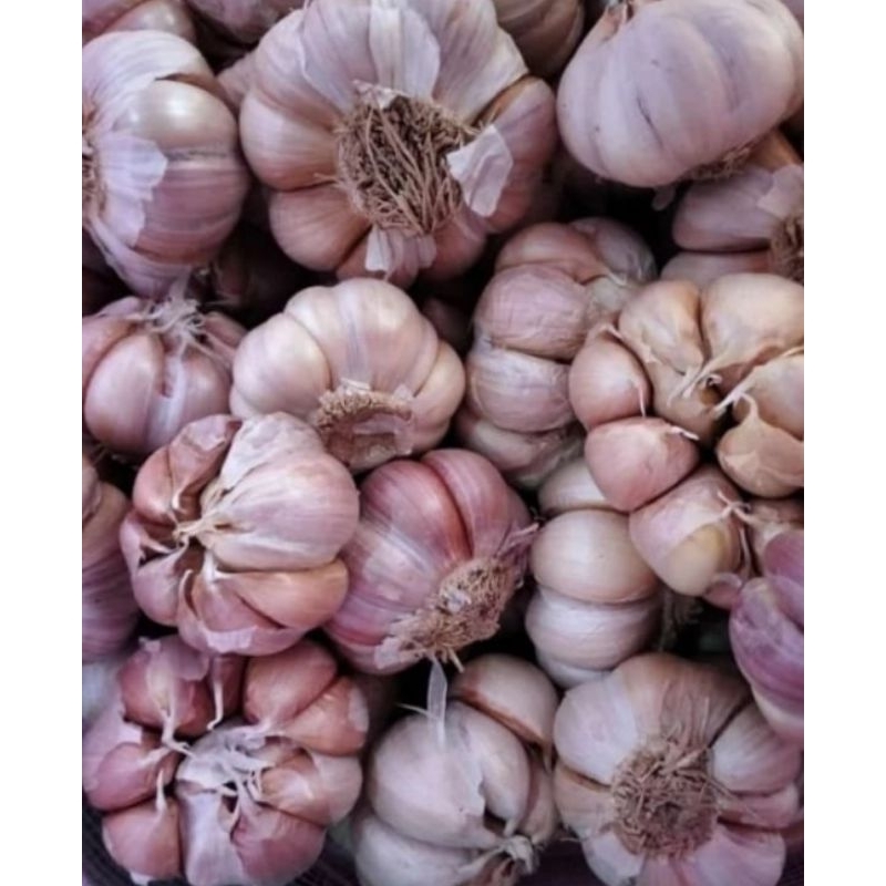 

Bawang putih 1kg