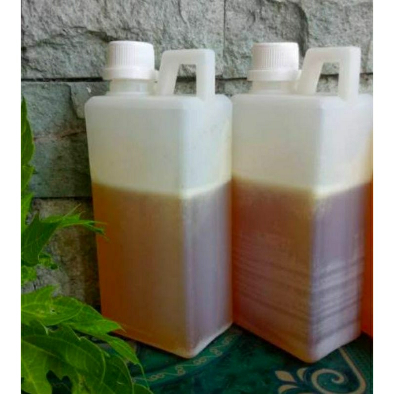 

madu murni