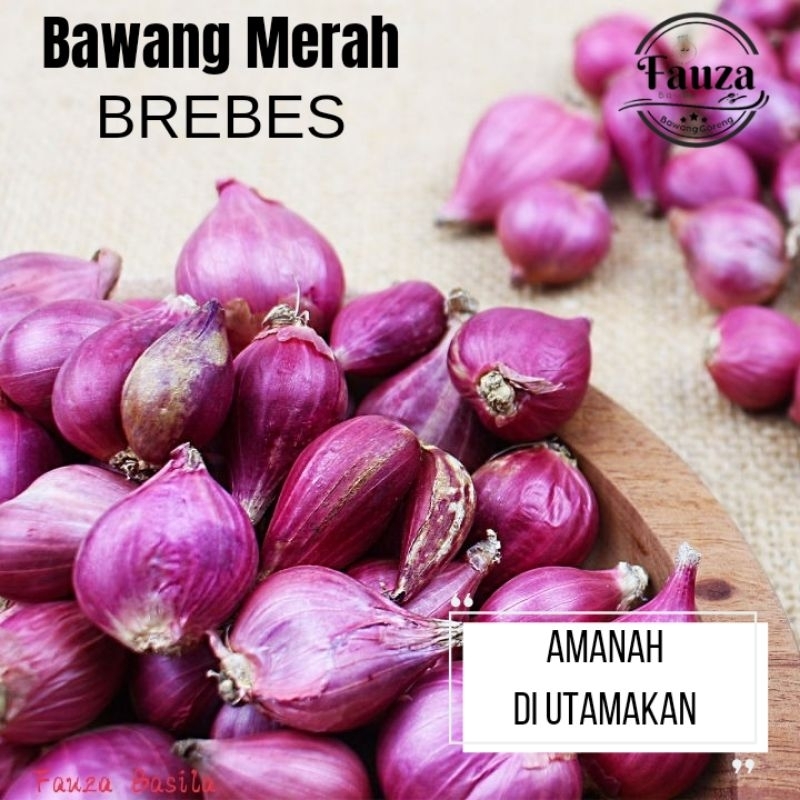 

Bawang Merah Brebes 500gram Murah, asli, tidak Kences, basah dan Busuk