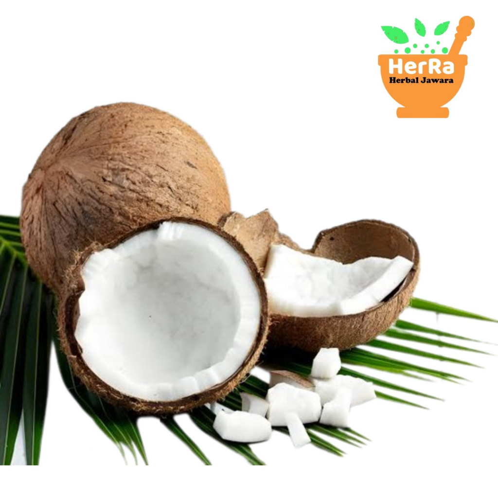 

Kelapa tua kelapa parut