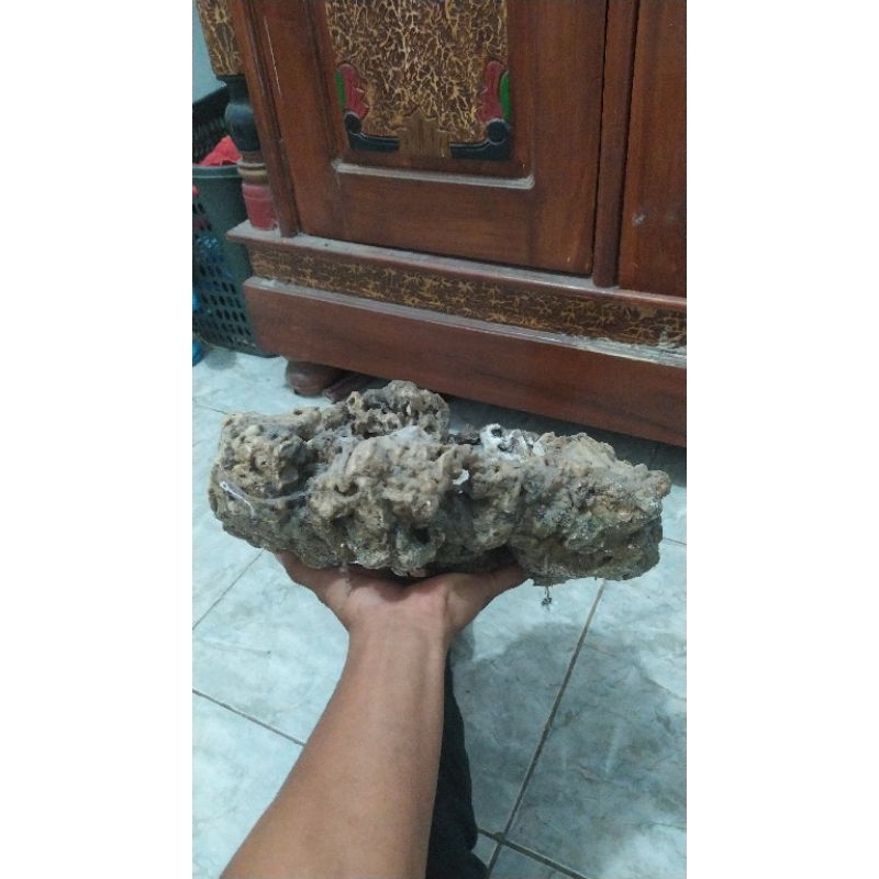 pot bonsai batu oarang asli