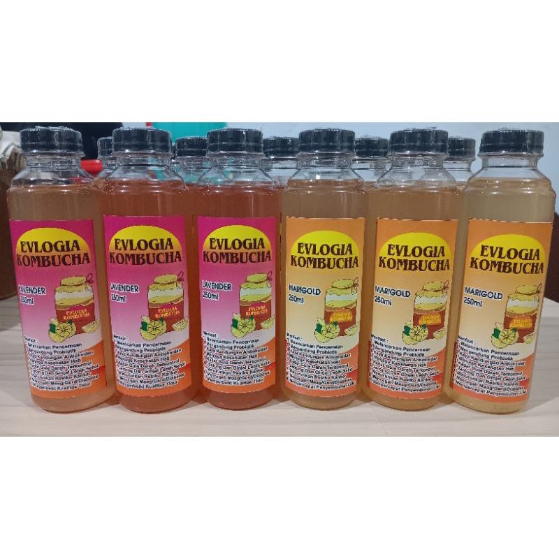 

EVLOGIA KOMBUCHA VARIAN LAVENDER/ MARIGOLD