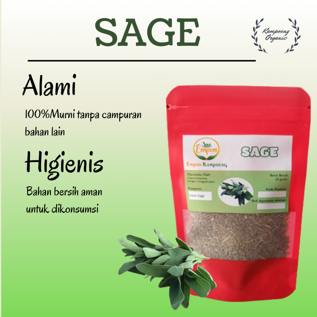 

Daun Sage Kering Herbal Bahan Makanan Pokok Bumbu Dapur Organik Rempah Asli Alami Murni