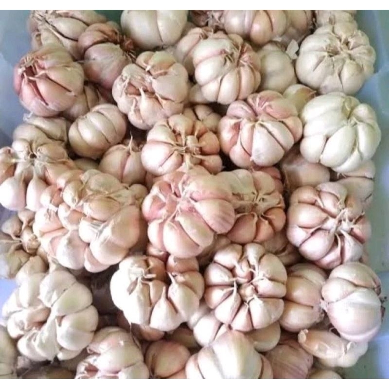 

bawang putih ,500g