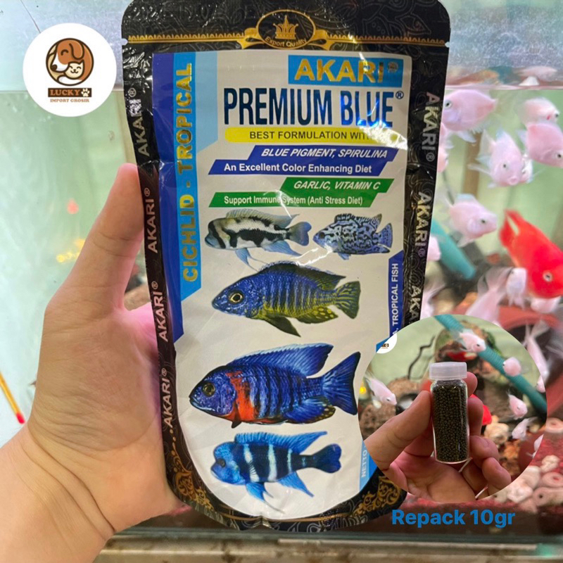 Pellet Ikan Hias Premium Blue Akari Channa Predator Lohan