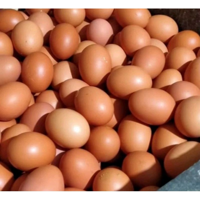 

TELUR AYAM 500 GRAM