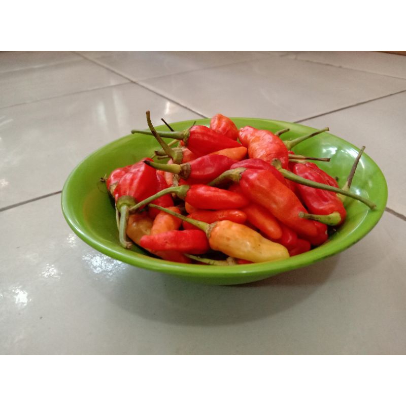 

Cabai / Cabe Rawit Merah Mercon 500Gram