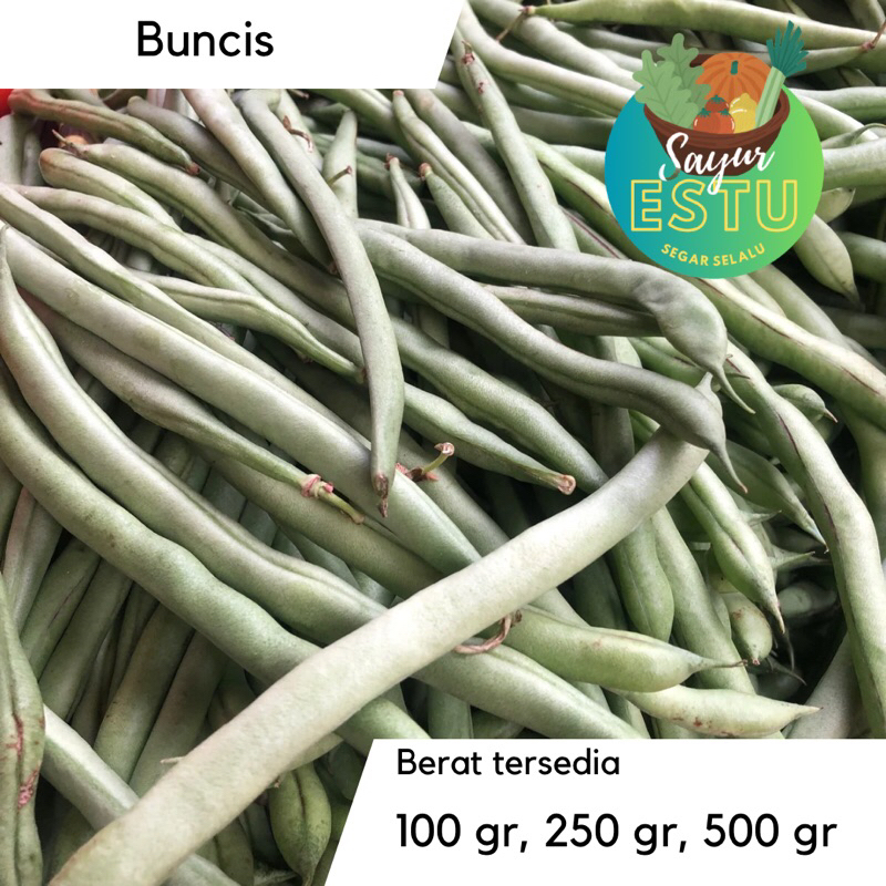 

Buncis [GRATIS ONGKIR]