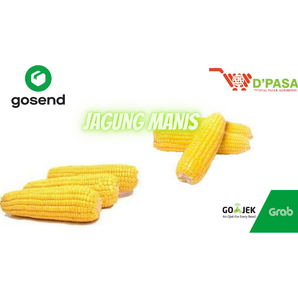 

KIRIM INSTAN Jagung Manis Kupas 600 - 800gr fresh
