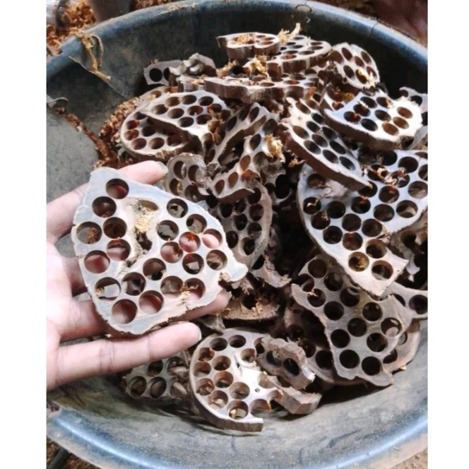 Limbah kayu gaharu Kayu gaharu kayu gaharu asli kalimantan kayu gaharu bakar kayu gaharu super