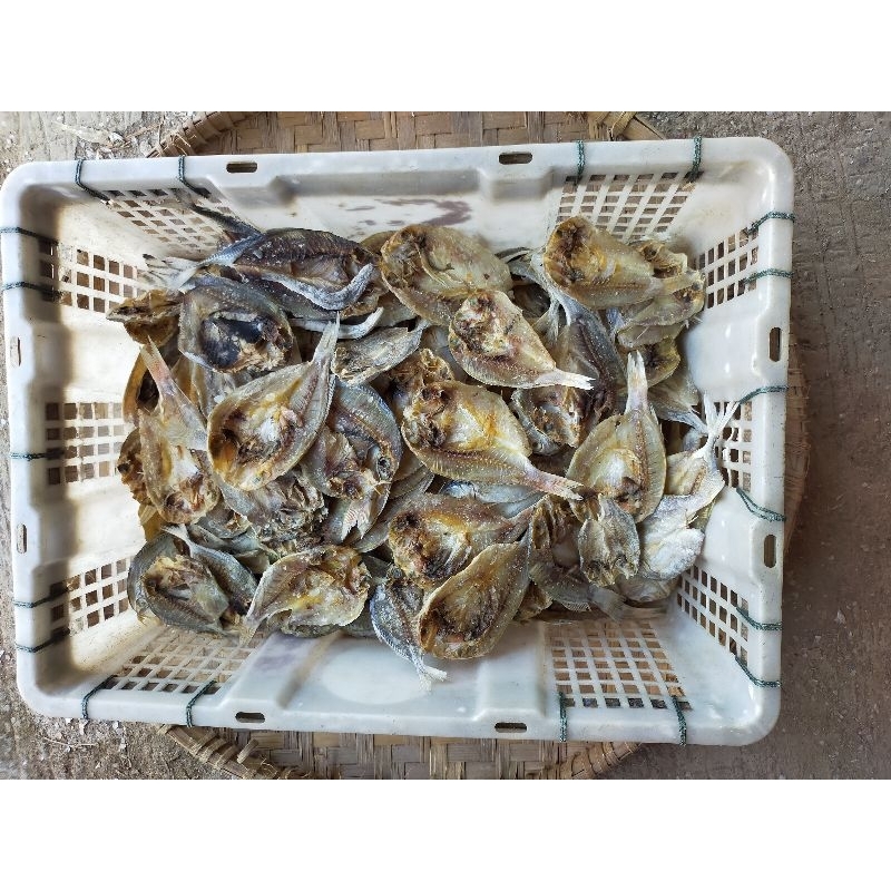 

Ikan Gesek asin / Gereh gesek Kuniran Kering Murah 500gram