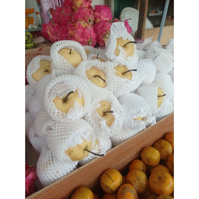 

buah pir