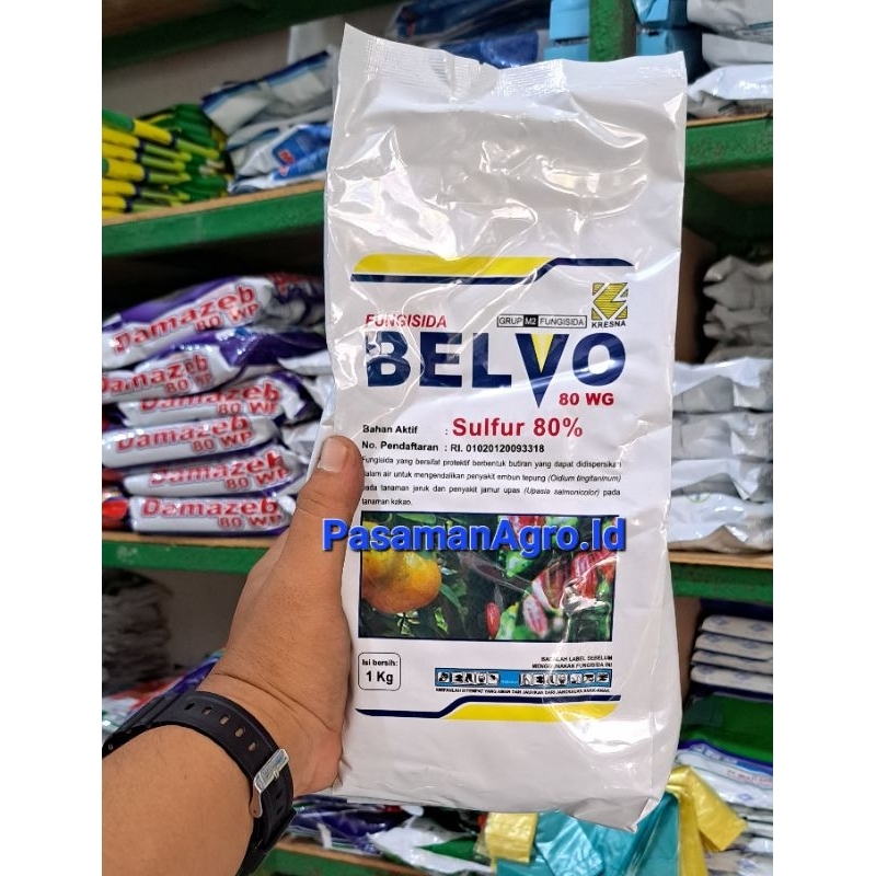 FUNGISIDA BELVO  80 WG - 1 KG