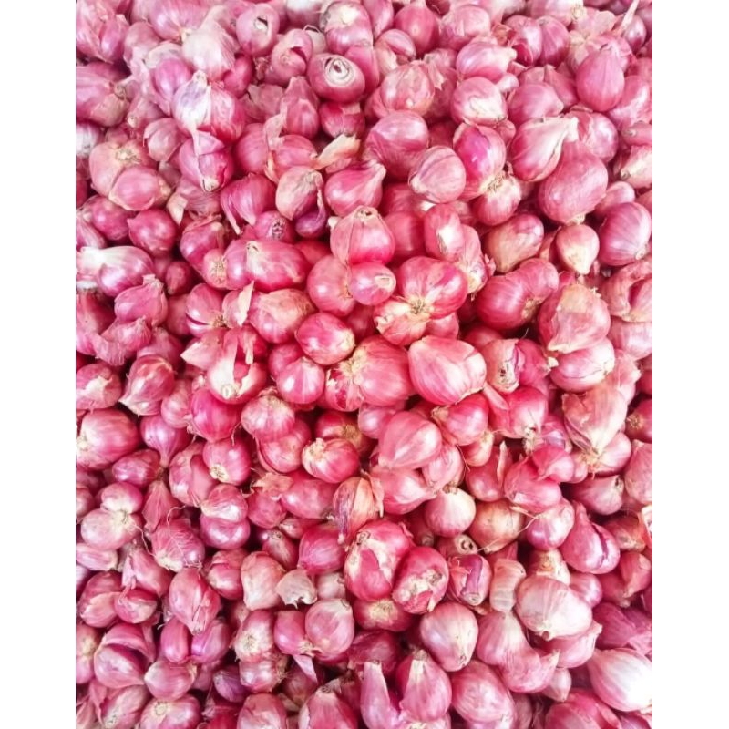 

bawang merah bawang putih besar kering 1kg 500g