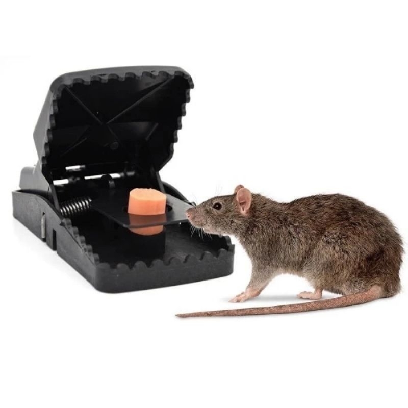 Alat trap jebakan tikus alat pembasmi tikus mouse trap jepretan tikus rumah kantor got murah