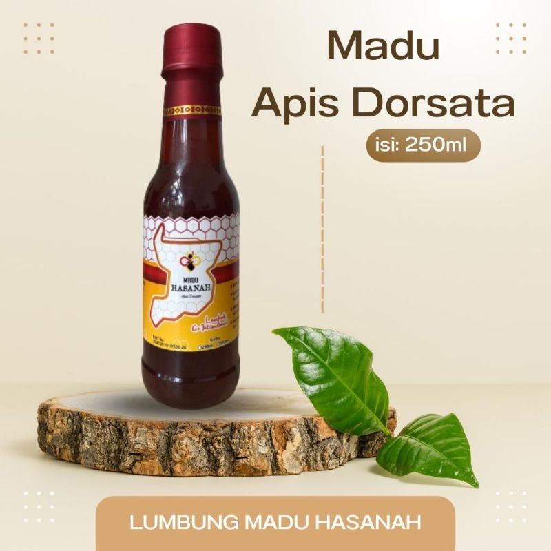 

Madu hasanah Apis dorsata