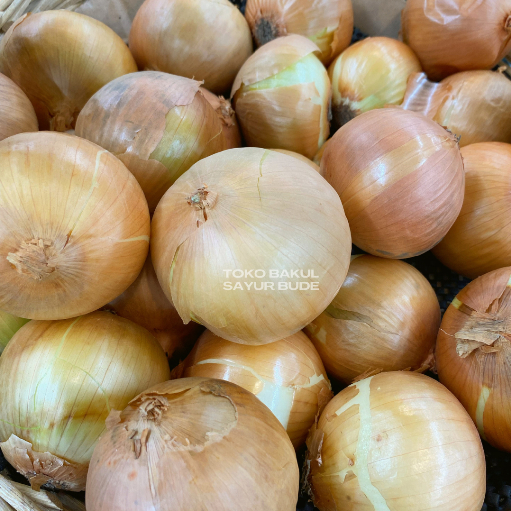 

Bawang Bombay Per pcs - Sayuran Segar - Khusus Instant dan Sameday