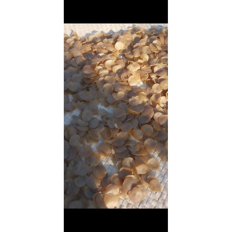 

kerupuk uli
