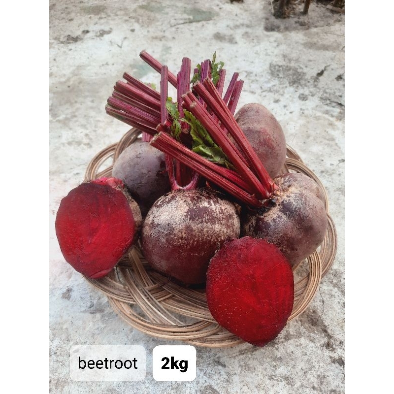 

buah bit segar 2kg