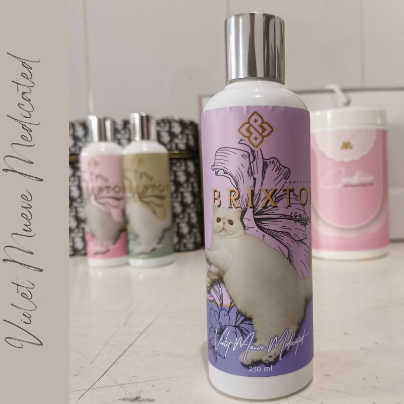 Brixton Violet Mueve Medicated Shampoo