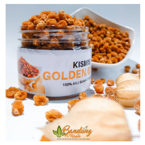 

kismis ciplukan original murah banget