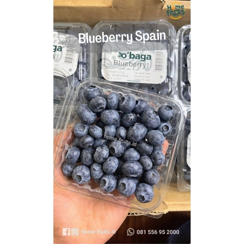 

Blueberry Afrika