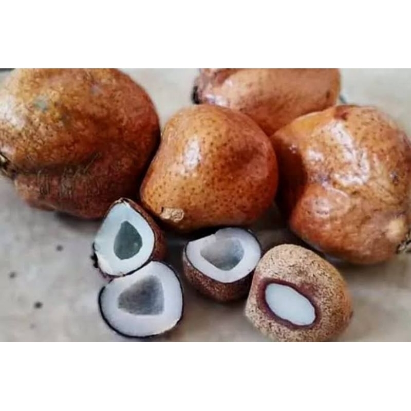 BUAH ZURIAT 1kg [ Doum mesir / ZURIAT