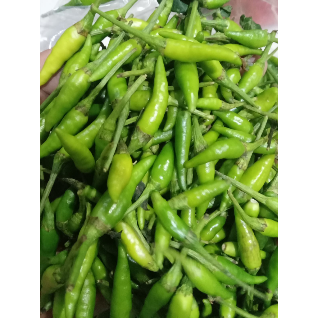 

Cabai Cabe Rawit Hijau 1jkg