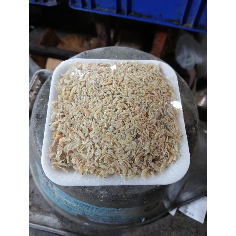 

udang rebon 100g