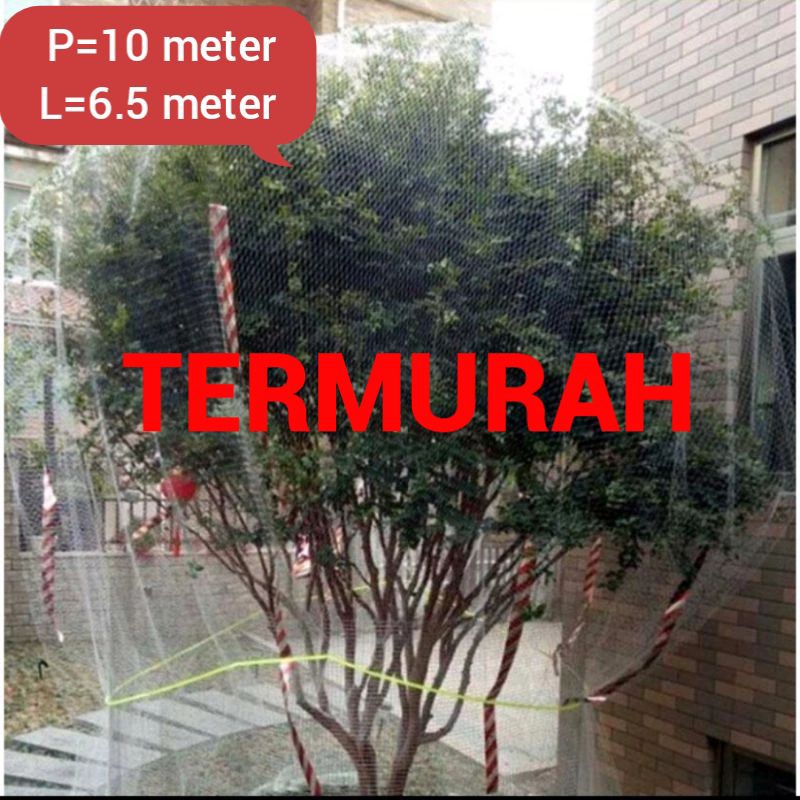 jaring pelindung tanaman dari hawa kelelawar dari burung pelindung buah tanaman klengkeng dll