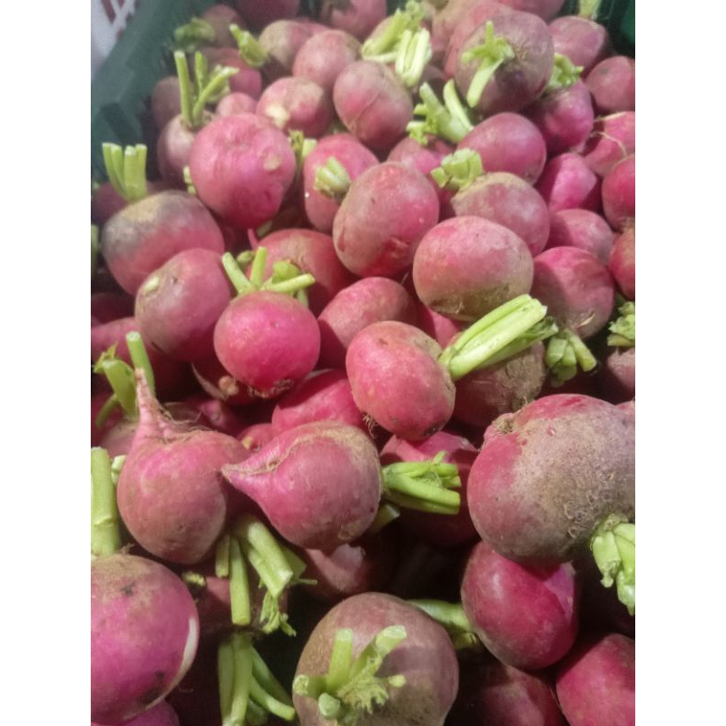 

lobak merah / radish 1kg