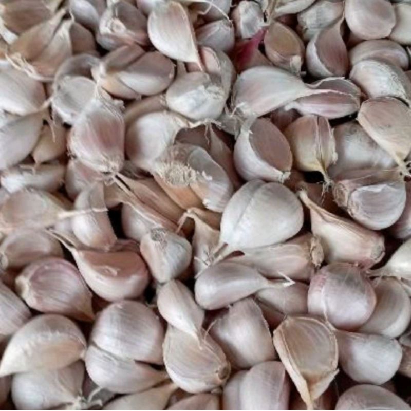 

bawang putih kating 250g