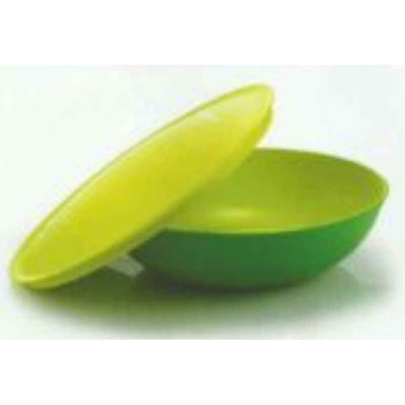 Allegra bowl tupperware new