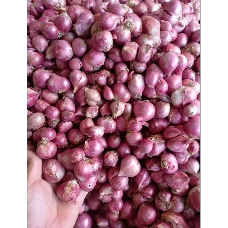 

bawang merah bawang putih