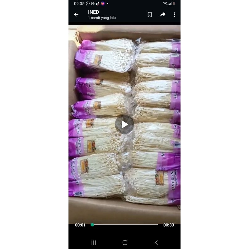 

jamur enoki