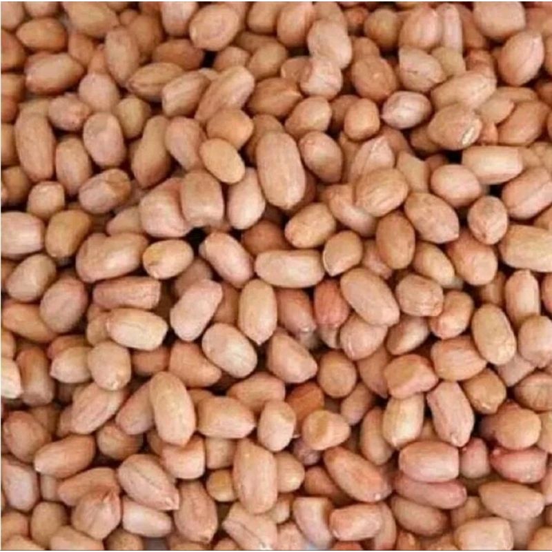 

kacang tanah OB import india 1kg
