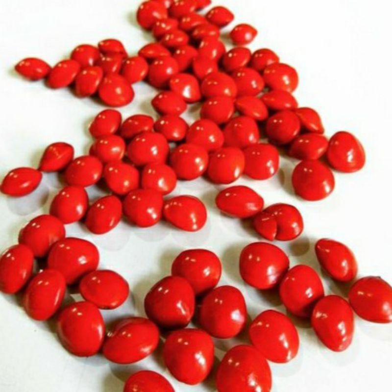 Biji Saga/Saga Tunteng/sogok Telik Merah
