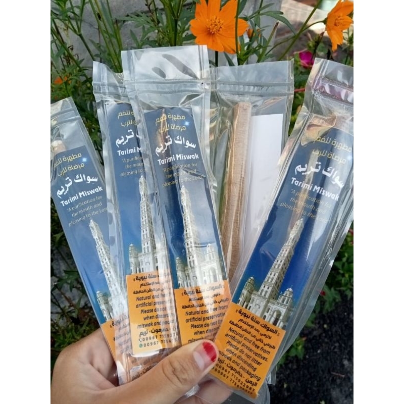 Siwak Tarim, Siwak plis holder Siwak Biru, Siwak Grosir